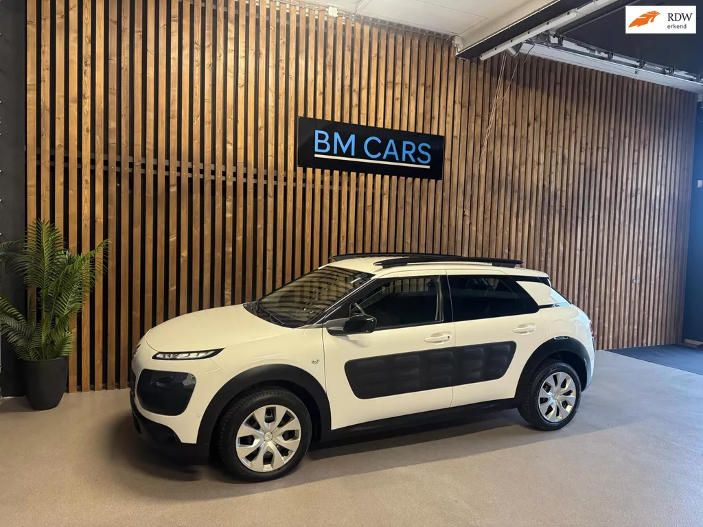 Citroen C4 Cactus 1.2 PureTech Business Plus Airco, Camera,Pdc