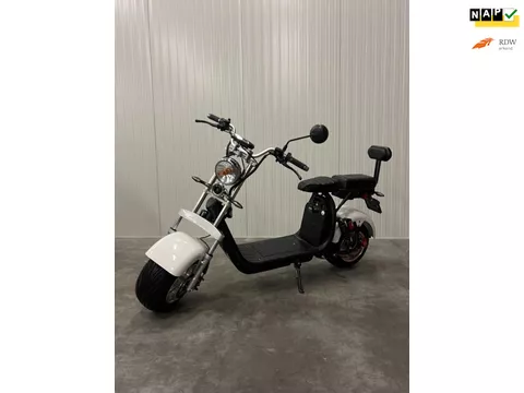 Shansu Snorscooter EGreen