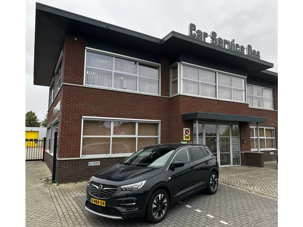Opel Grandland X 1.2 Turbo Business Executive *Trekhaak (Lees ADV)